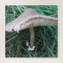 Suche nach pilze puzzle Cool
