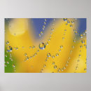 Suche nach spinnennetz poster Natur