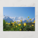 Recherche de swiss alps posters Jungfrau