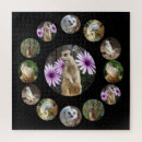 Recherche de surprise puzzles Photographie