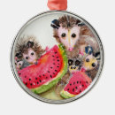 Suche nach opossum ornamente Tiere