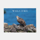 Suche nach osprey Natur