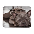 Recherche de personne de chien magnets Toute personne