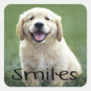 Suche nach goldenes lächeln aufkleber Goldene retriever