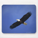Suche nach weißkopfseeadler mousepads Freiheit