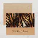 Recherche de tiger cartes postales Animal