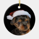 Recherche de yorkshire terrier ornements Peinture