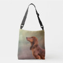 Recherche de race de chien sacs Canine