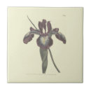Suche nach vintage iris fliesen Blume