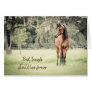 Suche nach verlust des pferds karten Bauernhof