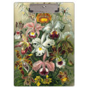 Suche nach orchidee klemmbrett Tropisch