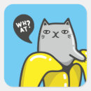Recherche de funny animals autocollants Pet