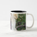 Recherche de panthera tasses Dehors