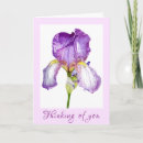Recherche de pensée pourpre Iris
