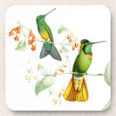 Suche nach kolibri untersetzer Wild lebende tiere