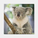 Suche nach brisbane magnete Ozeanien