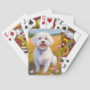 Recherche de maltais jeux de cartes Chien