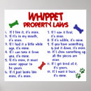 Suche nach whippet kunst Haustiere