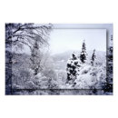 Suche nach winterbaum poster Aquarell