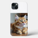 Suche nach chat iphone hüllen Lustig