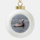 Recherche de pélican ornements Oiseau
