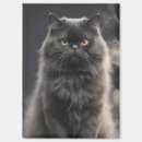 Suche nach persische katze magnete Persikatze