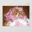 Recherche de chaton rose cartes postales Animal de compagnie