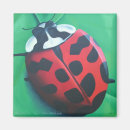 Recherche de insectes de dame magnets Coccinelle