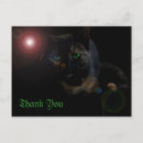 Recherche de chat aux yeux verts Oeil