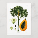Suche nach papaya postkarten Vintag