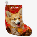 Suche nach corgi weihnachts strümpfe Tierfreund