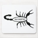 Recherche de scorpions tapis souris Octobre