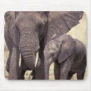 Suche nach afrikanischer elefant mousepads Familie