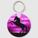 Recherche de chevaux noirs porteclés Amoureux des chevaux