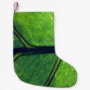 Recherche de vert de noël photographie Macro