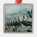 Suche nach reis ornamente Landwirtschaft
