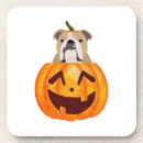 Suche nach trick oder leckerei untersetzer Niedlich