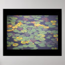 Suche nach wasserlilien poster Natur