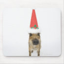 Suche nach wilder eber mousepads Tier