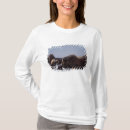 Suche nach moschusochsen tshirts Fauna