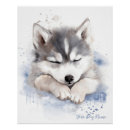 Suche nach sibirien poster Hunde