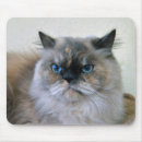 Suche nach blaue katze mousepads Fell