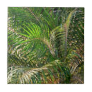 Recherche de contours carreaux Tropical