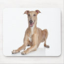 Suche nach italienisches mousepads Hunde