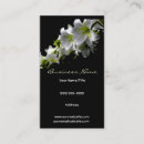 Suche nach weiße lilien visitenkarten Natur