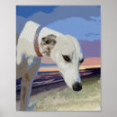 Recherche de whippet dog posters Animal