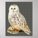 Suche nach white owl poster Weiß