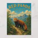 Suche nach roter panda postkarten Feuerfuchs