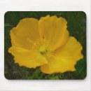 Suche nach poppy mousepads Foto