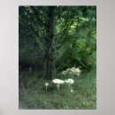 Recherche de champignons magiques posters Forêt